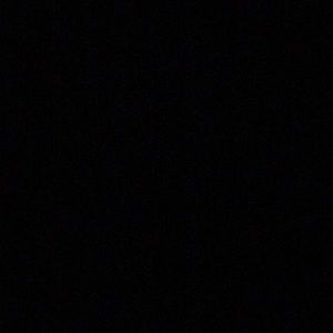 Meet your Posher, Pedro